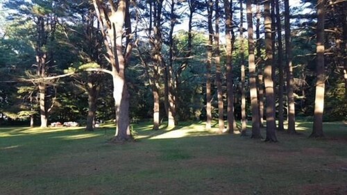 Catskill Motor Court Motel