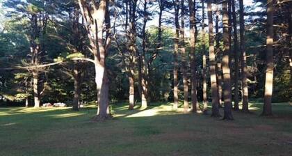 Catskill Motor Court Motel