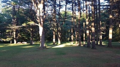 Catskill Motor Court Motel