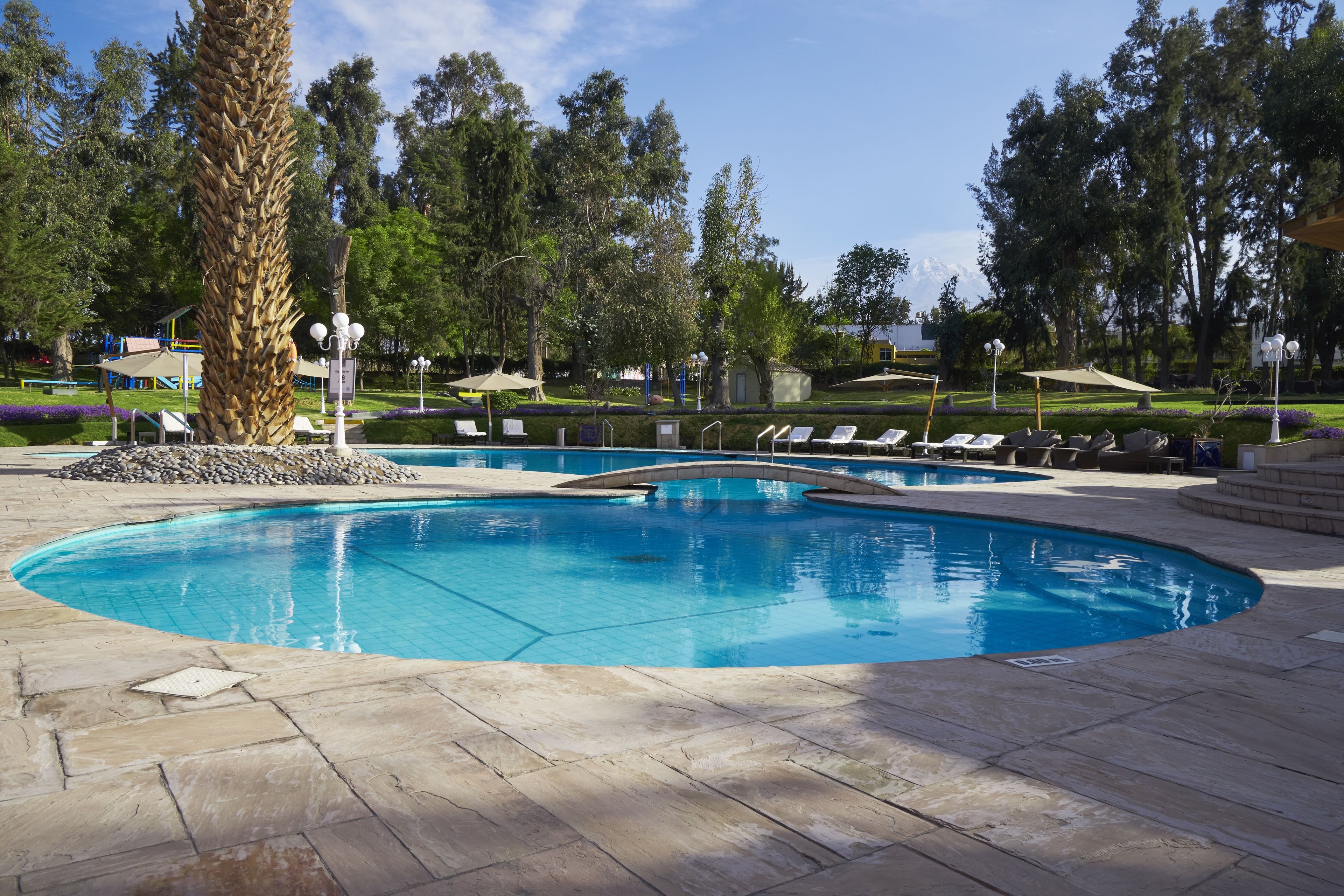 Alberca al aire libre, sombrillas en la alberca y camastros 