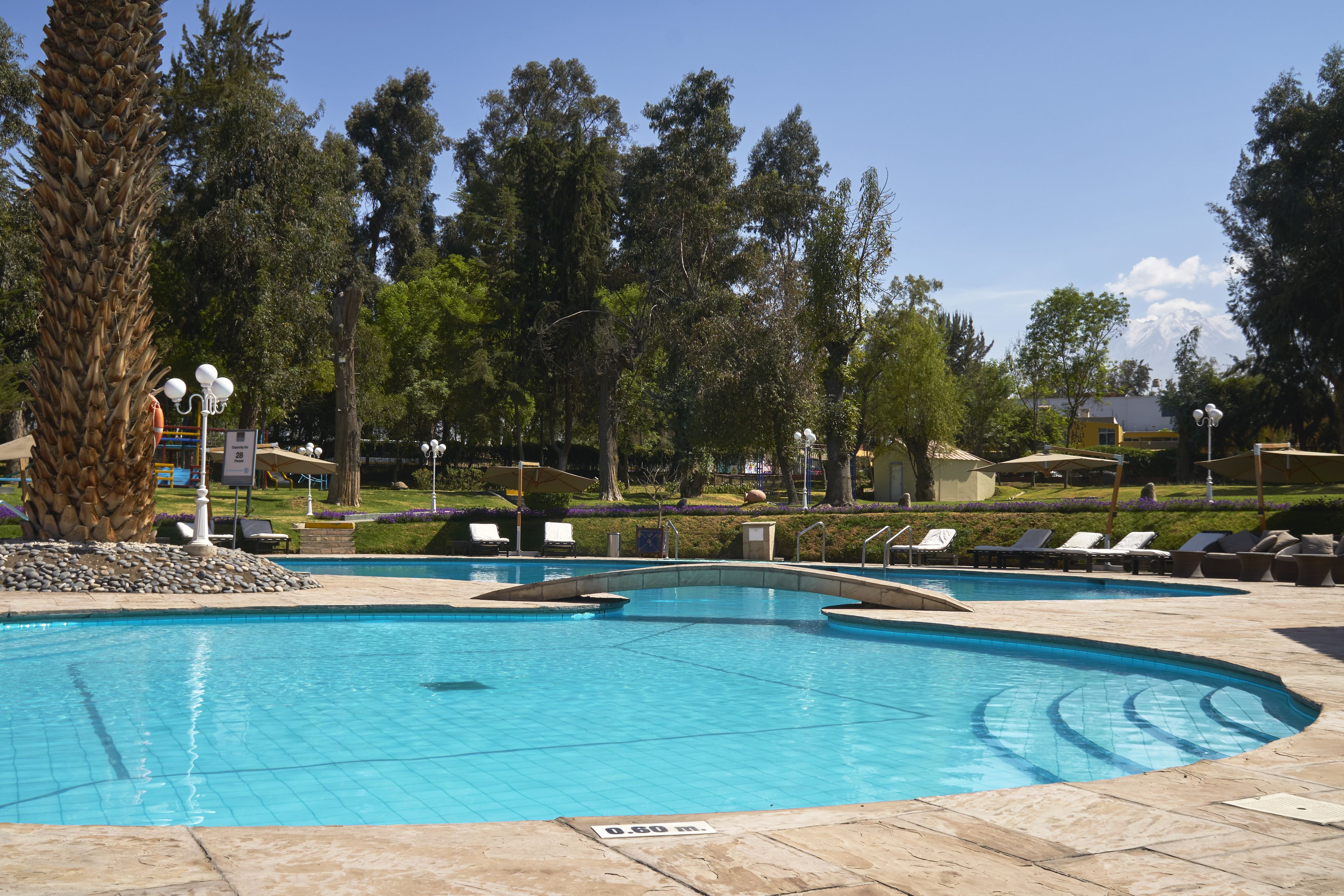 outdoor pool, pool umbrellas, pool loungers