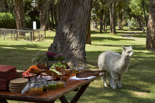 Wyndham Costa del Sol Arequipa