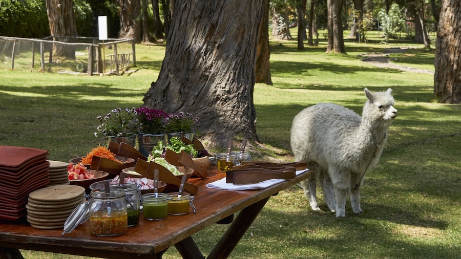 Wyndham Costa del Sol Arequipa