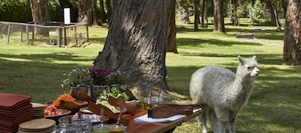 Wyndham Costa del Sol Arequipa