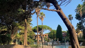 Un parc avec un grand arbre, une piscine entourée d’une clôture et un bâtiment en arrière-plan.