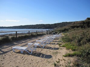 Plage, chaises longues