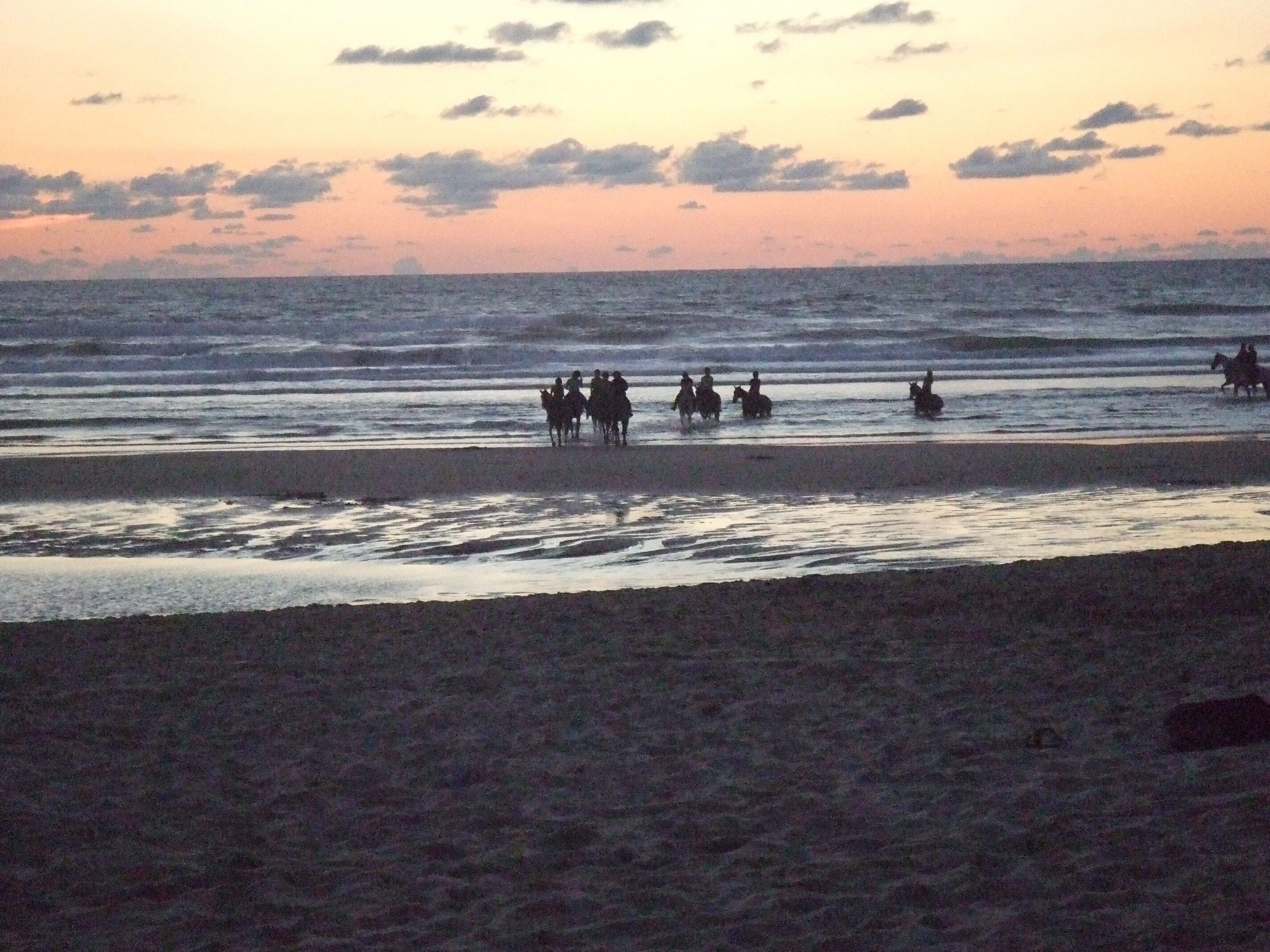 Ein Strandbild mit Menschen, die am Ufer auf Pferden reiten.