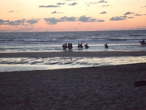 On the beach