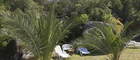 Parco della struttura