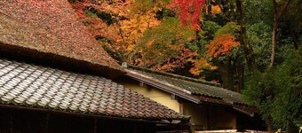 Ben's Guesthouse Kyoto