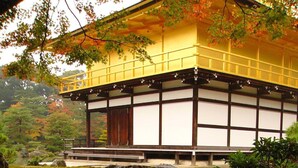 Een traditioneel Japans gebouw met houten constructie en witte muren, omringd door een tuin met herfstbladeren.