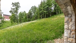 Ein angelegter Garten mit einem Kiesweg, grüner Wiese und Wildblumen.