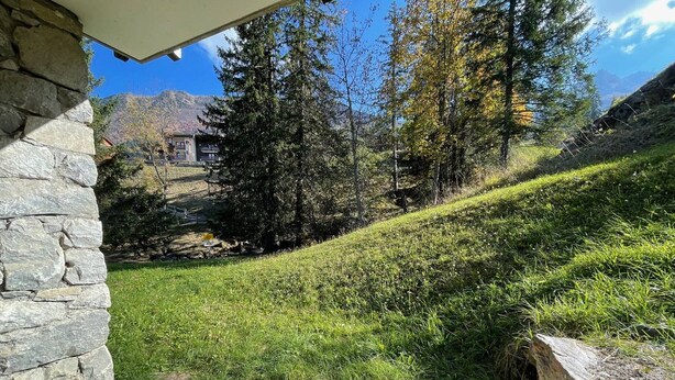 Eine Steinmauer, ein Holzdeck und ein grasbewachsener Hang mit Bäumen.