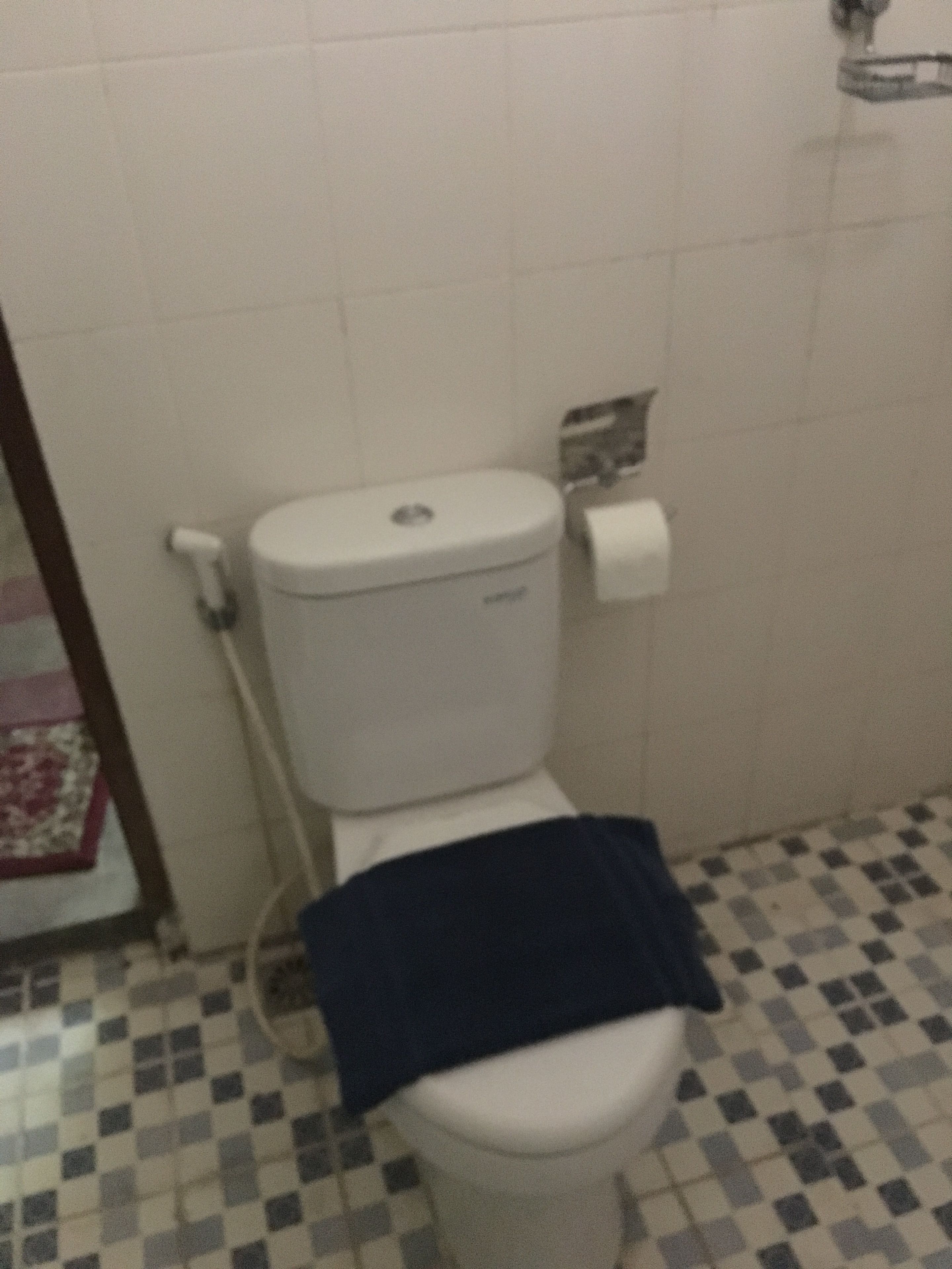 Une salle de bain avec des toilettes, un rouleau de papier toilette et un carrelage à motifs à carreaux.