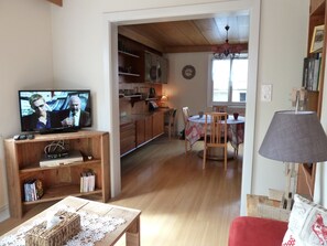 TV, DVD player, books, video library
