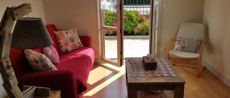 تلفزيون، مشغل دي في دي، كُتُب، مكتبة فيديو