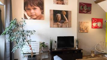 Televisio, videopelejä, DVD-soitin, kirjoja