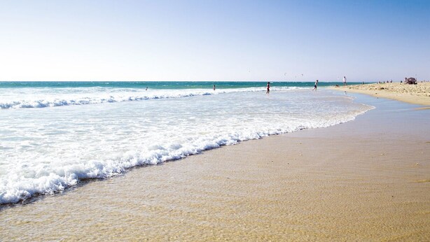 A beach with clear skies and calm waters. - Cozy Appart 150 m from the beach with balcony + Parking (Biscarrosse)