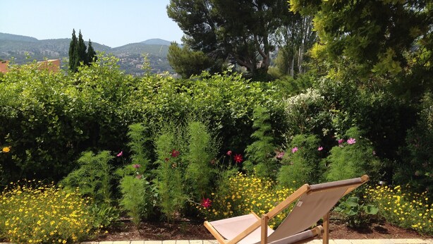 Une chaise en bois dans un jardin, avec un chemin en briques, entourée de différentes plantes et fleurs.