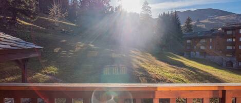 Terrain de lâhĂ©bergement