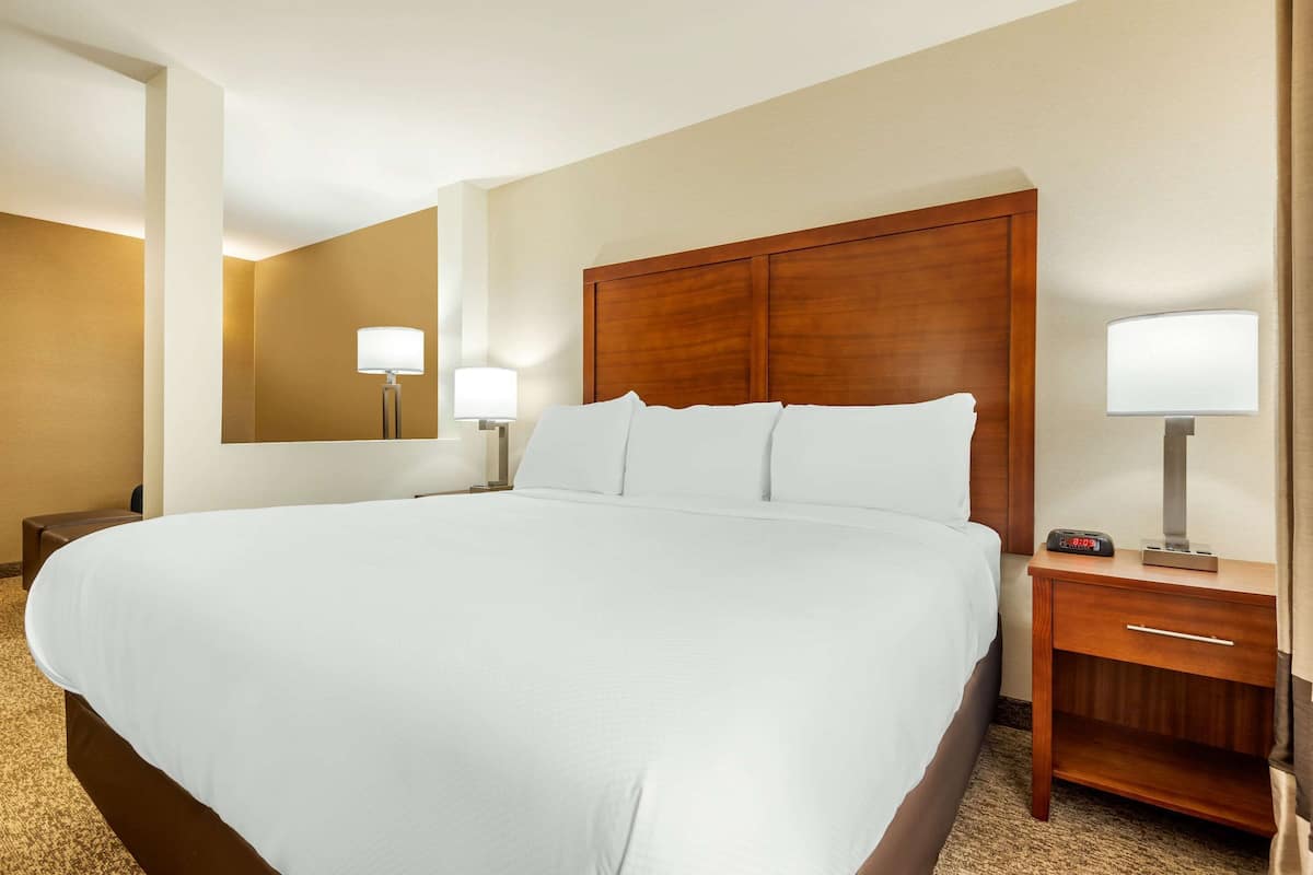 suite, 1 king bed with sofa bed, non smoking | premium bedding, down duvets, pillow-top beds, desk