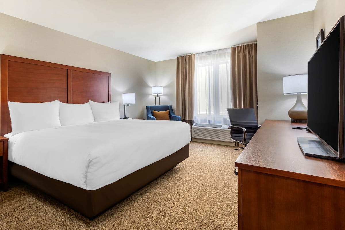 standard room, 1 king bed, non smoking | premium bedding, down duvets, pillow-top beds, desk