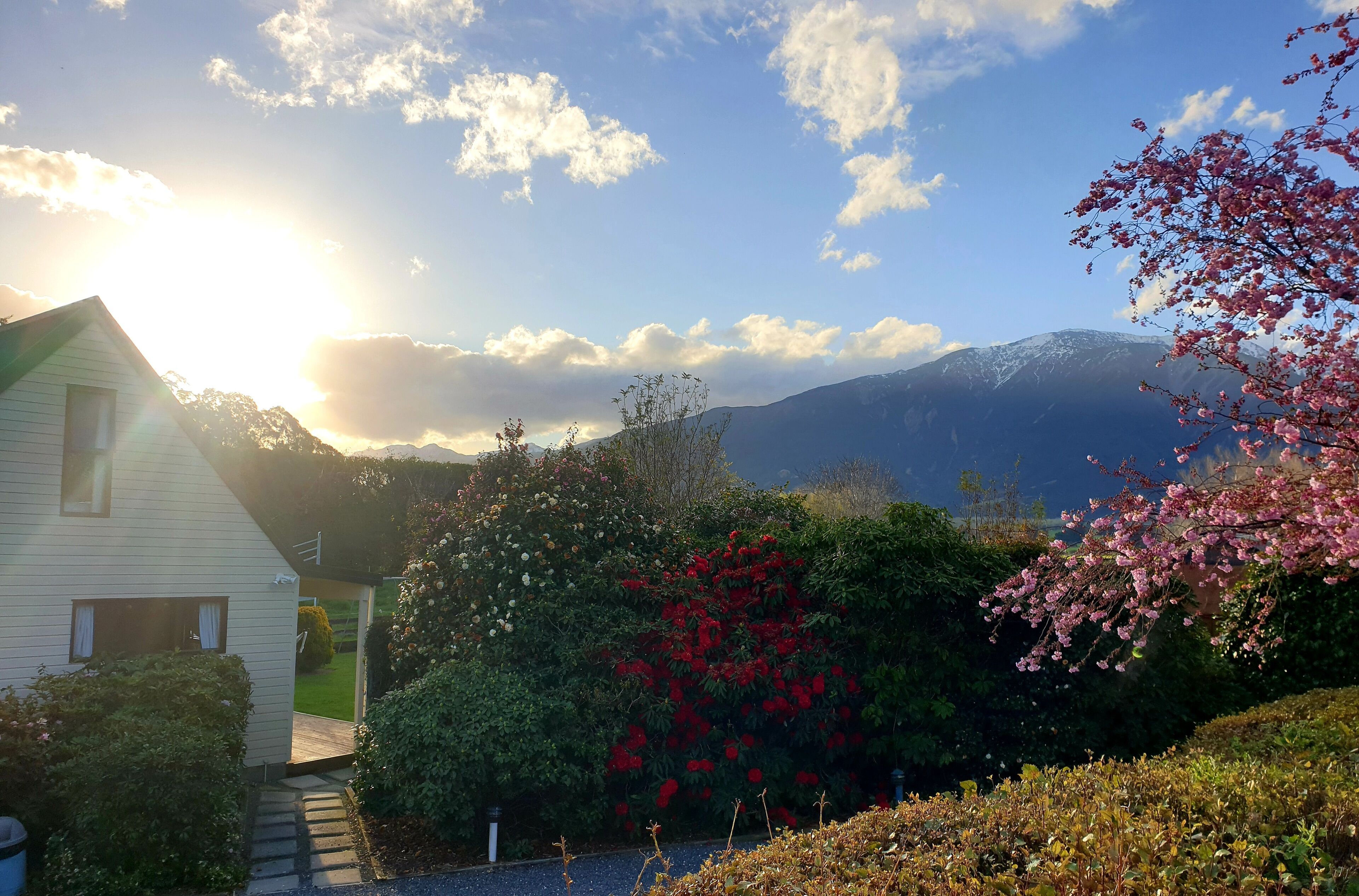 A house with a view of mountains and a garden with various plants and flowers.