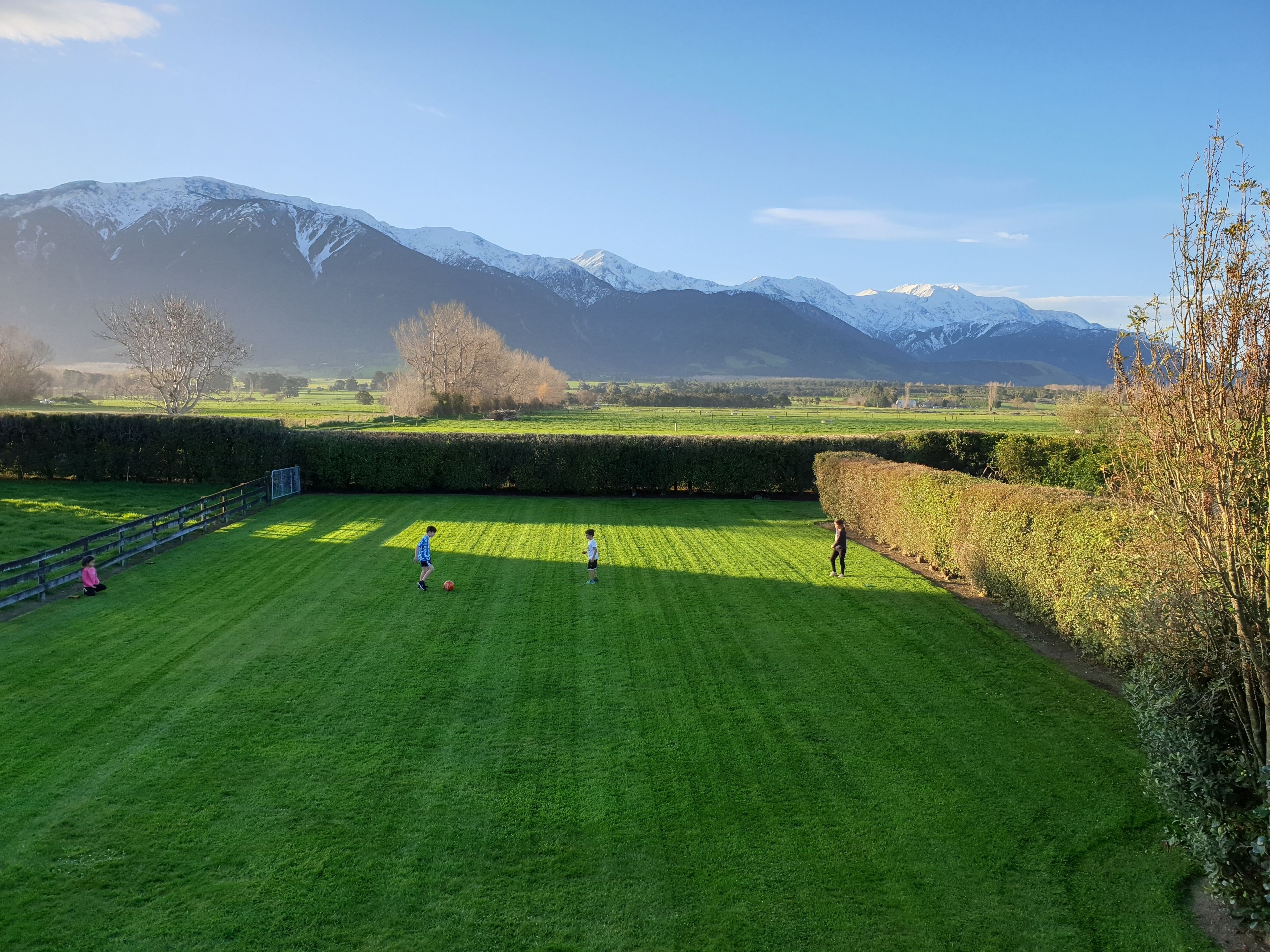 A grassy field with a hedge and a blue fence.