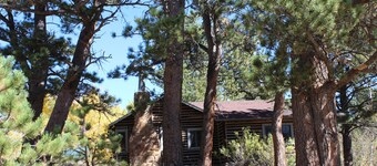 Quinnella's RMNP Adventure Cabin