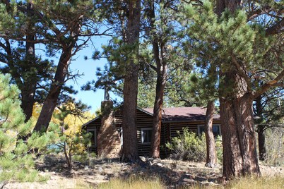 Quinnella's RMNP Adventure Cabin
