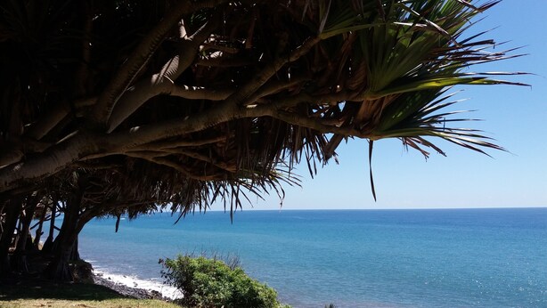A tree-lined beach with a clear view of the ocean. - Furnished house in a flower garden for a stay with family and friends (Saint-André)