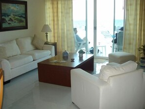 Smart TV, DVD player, books, video library