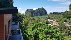 Standard Double Room with Mountain View | Utsikt fra overnattingsstedet