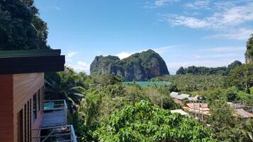 Standard Double Room with Mountain View | Vistas desde el alojamiento