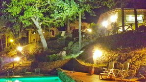 A swimming pool with a stone wall, surrounded by trees and a thatched-roof structure.
