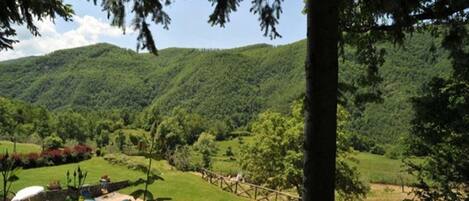 A pool area with a view of a forested mountain.