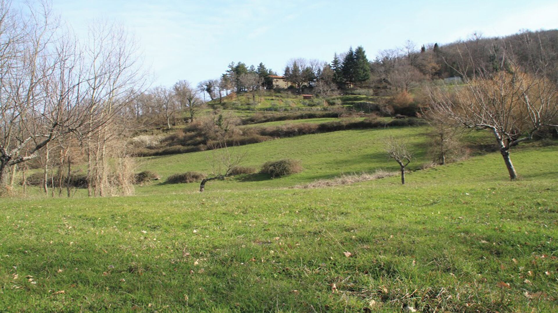 A rural landscape with rolling hills, sparse trees, and a distant house on a hill.