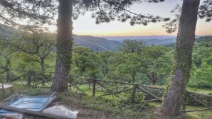 A forested landscape with a view of distant hills.