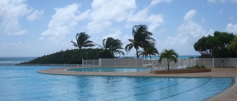 A swimming pool with a curved edge, surrounded by a white fence, palm trees, and a view of the ocean.