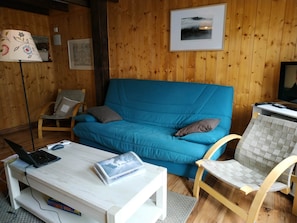 Télévision, cheminée, lecteur de DVD, livres