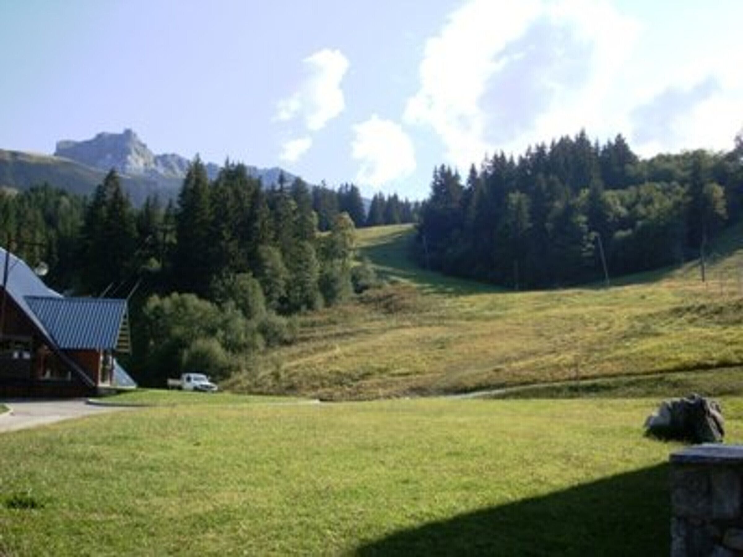 A cabin with a sloped roof, surrounded by a grassy field and dense forest.
