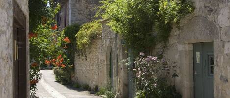 Áreas de la propiedad