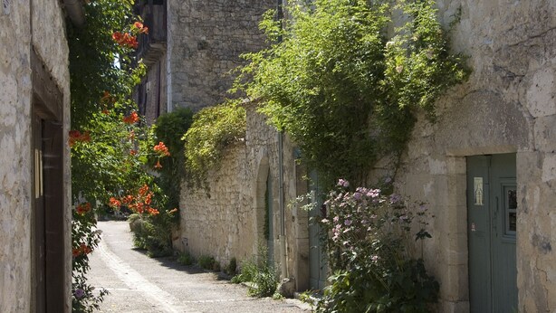 Une ruelle étroite pavée, bordée de bâtiments en pierre aux portes vertes et agrémentée de plantes en fleurs.