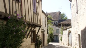 Une ruelle étroite pavée, bordée de bâtiments traditionnels à colombages, avec des poutres en bois apparentes et des volets.