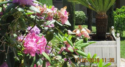 Loft in a barn on the edge of the village with viewpoint, land and terraces