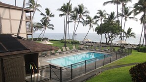 Ein Swimmingpool mit Zaun, umgeben von Palmen und Blick auf den Ozean.