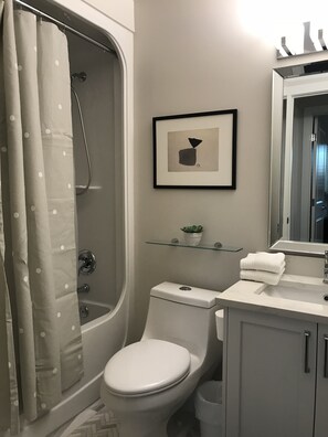 Combined shower/tub, hair dryer, towels, shampoo