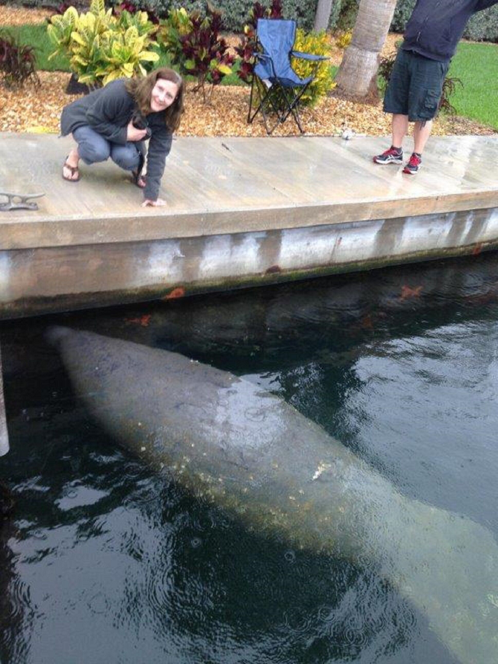A concrete ledge with a pool of water below.