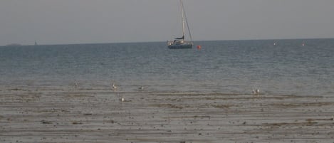 Beach nearby, sun loungers
