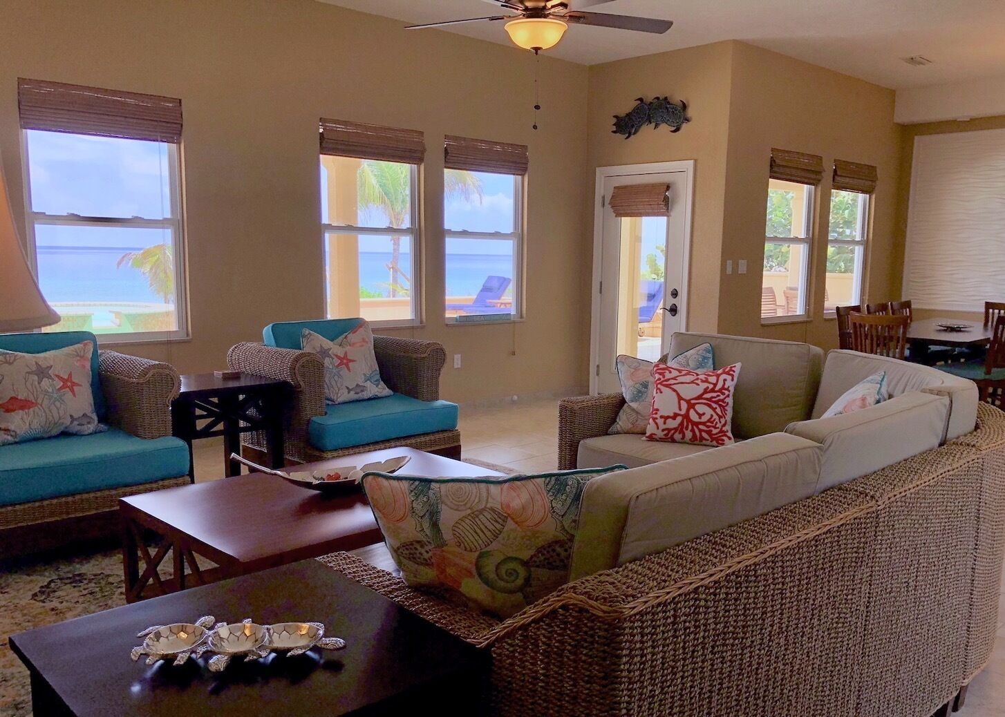 TV connectée, cheminée, lecteur de DVD, livres